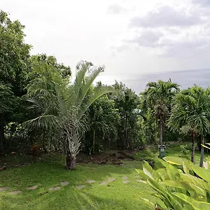 https://karureve.comcaribbean.com